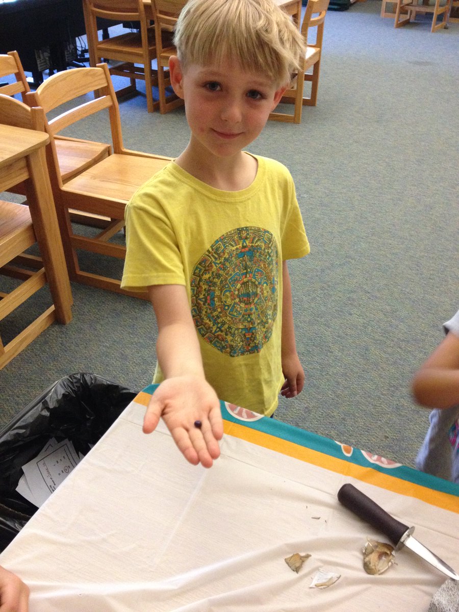 LibrarySCES's tweet photo. #SunapeeCentral @SSgrade1 so much fun celebrating Oceans! Ocean snacks, Ocean coloring, Ocean books, Coral Reef on the computers, shucking oysters for pearls and examining live lobsters! https://t.co/XcYioHf0Q1