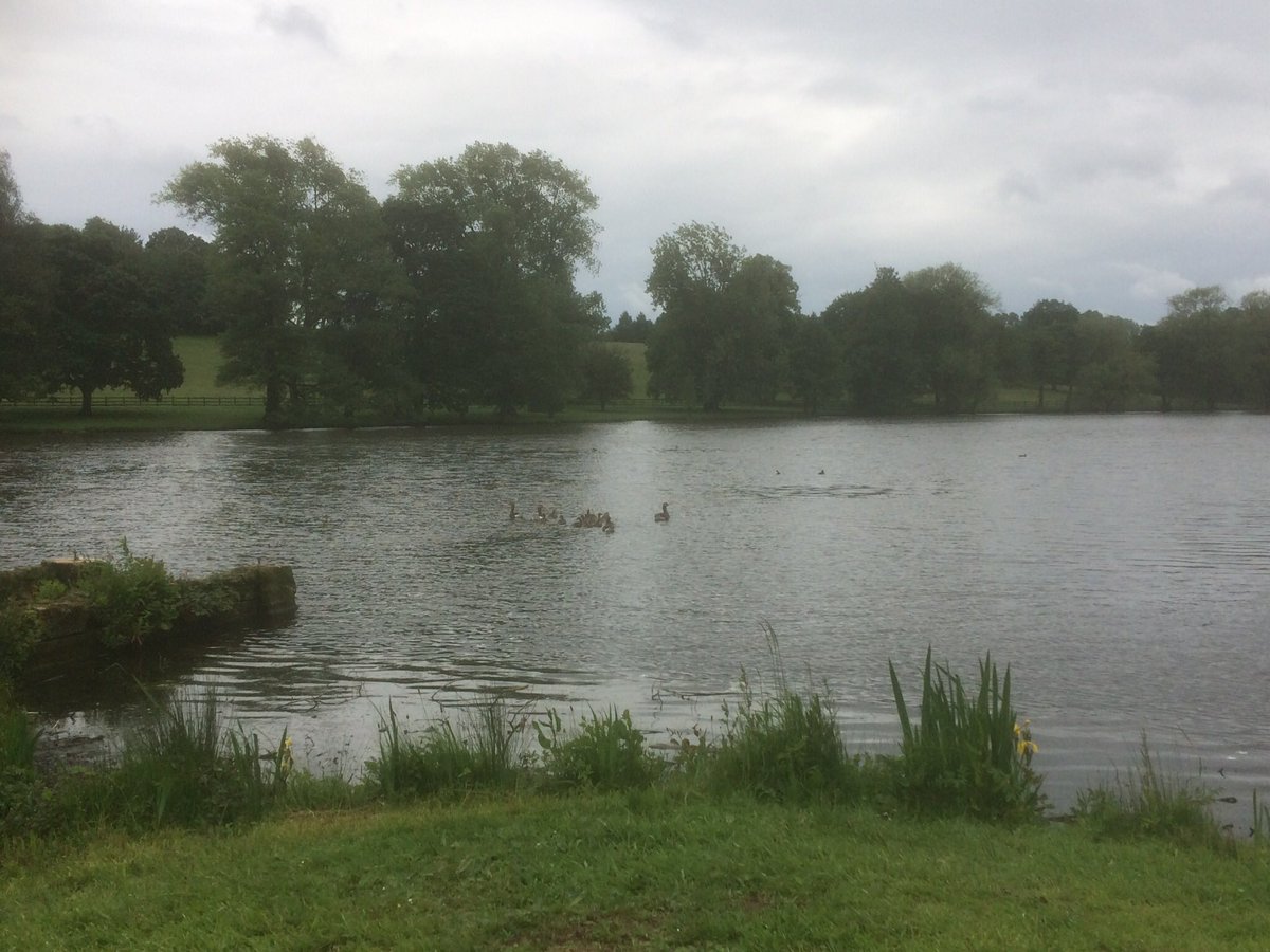Great weekend at Locko Park competing in #Derbyshire with great friends in such a beautiful setting <a href="/TheBenningtons/">Bennington Carriages</a> <a href="/britshdrivingsc/">British Driving Soc.</a> <a href="/bcarriagedrive/">British Carriagedriving</a> <a href="/teamburtwood/">Emma & Tony Woodward</a>