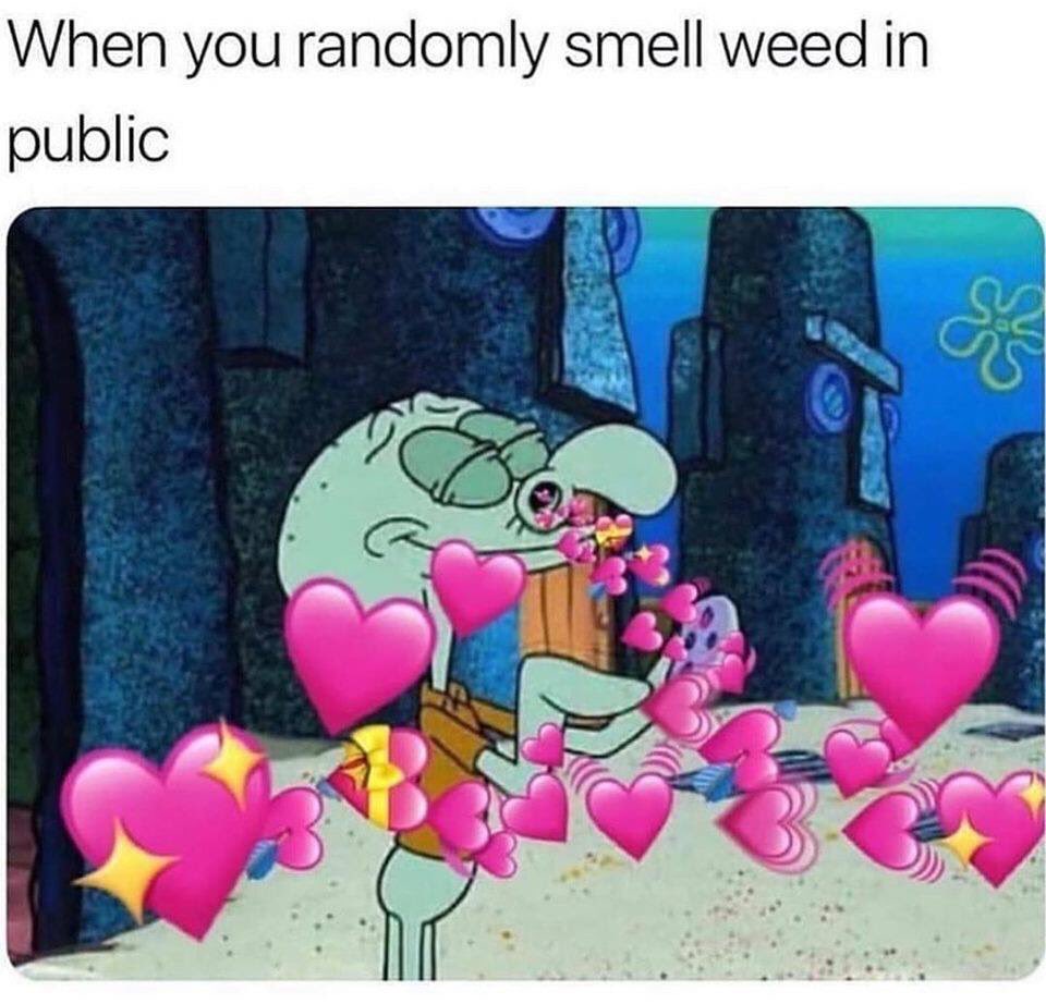 All the feels! 🌬🍁👃🏻#wherestheweedat #weedkweenz #herbinladies #smokeweedeveryday #thenoseknows