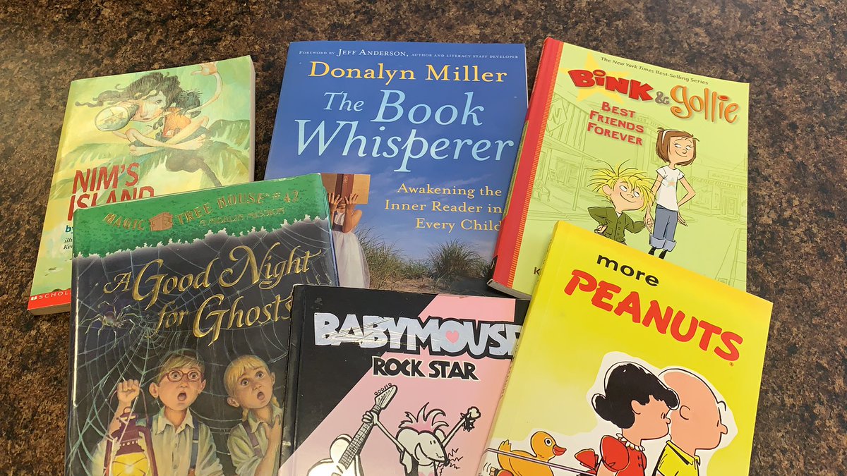 BiblioGarden's tweet photo. Sleuthing for treasures at Amber Unicorn Books with nieces. #indiebookstores #librariansummer https://t.co/D2DAg3OYy6