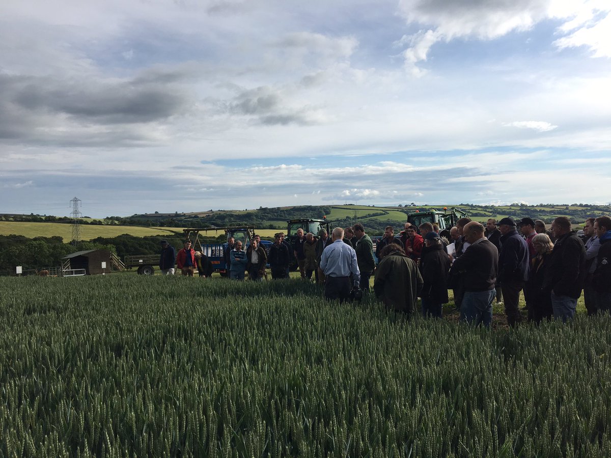 AHDB_Cereals's tweet photo. Saltash #monitorfarm in full flow. Farmer-led and farmer-driven; this is the beginning of 3 great years @AshleyDaveJones https://t.co/BxRmTS0U7F