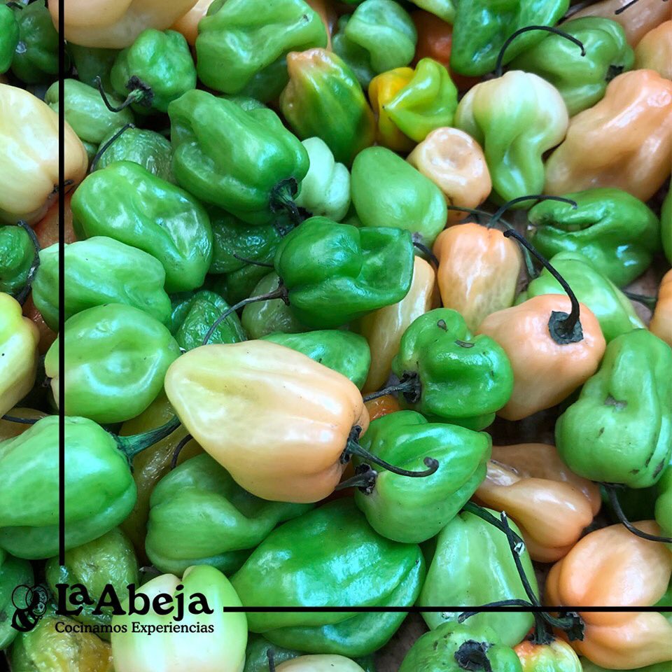 No hay nada más rico que una salsa recién hecha. ¡Encuentra todo lo que necesitas en nuestro Supermercado!

#CocinamosExperiencias #LaAbeja