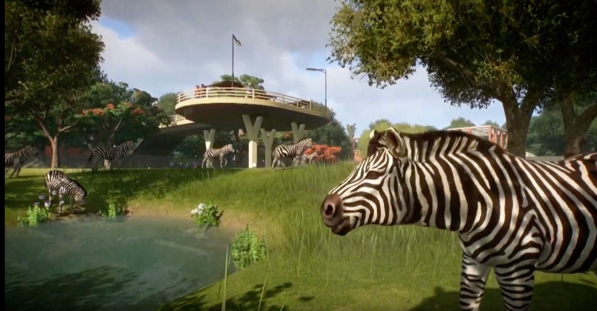 Polygon On Twitter Planet Zoo Is A Conservation Focused Zoo