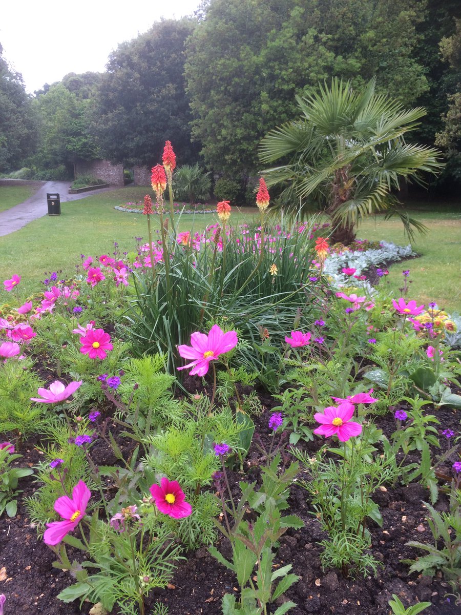 Sodexo Horticultural Services continue through a damp and dreary day to brighten up Stanley Park in Gosport for many Gosport residents and visitors to enjoy <a href="/Hort_Sodexo/">Hort Services</a> <a href="/Paul__Donnelly/">Paul Donnelly</a>
