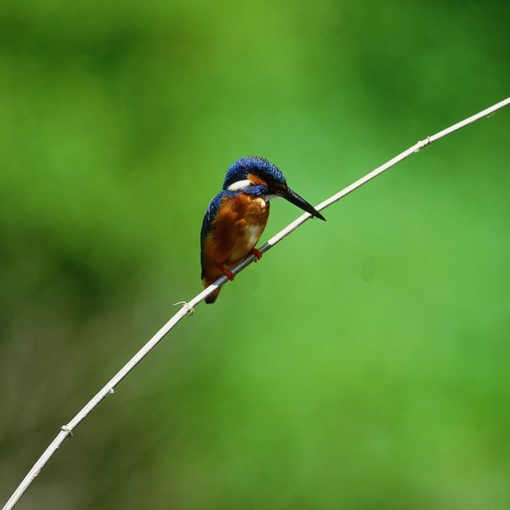 EdwardJamesPhotography tweet media