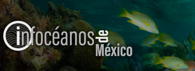 lauritafrh's tweet photo. ¿Te interesa la investigación marina de Mexico? Visita, explora los metadatos y participa si tienes mas datos en la nueva plataforma #infoocéanos, colaboración entre @Conabio, @EDF_deMexico y @UBCoceans ==> https://t.co/s3C3OBBc9y https://t.co/1ocIhJlJZ2