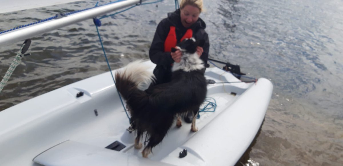 Mayo Sailing Club tweet media