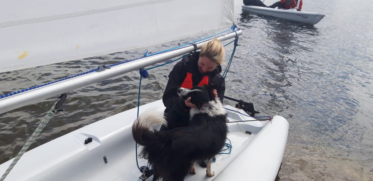 Mayo Sailing Club tweet media