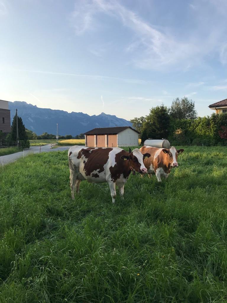 AneesJillani's tweet image. Key to reducing #PovertyinPakistan ?