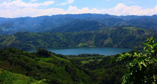 MincomercioCo's tweet photo. Alza del dólar, una oportunidad para promocionar a Colombia. https://t.co/TDgzCUpfgE @AnatoNacional 

#ConstruyendoPaís https://t.co/asV72KaqeI