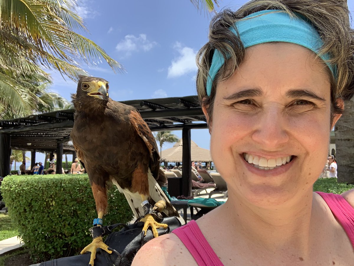 veroprimucci's tweet photo. Moro, es su nombre de este halcón, me dio permiso para estar con él y tomarme una foto. El halcón es uno de los símbolos nacionales de Mexico, protegidos por la nación. @forbesmexico #cancun🌴 #xcaretpark #secretssilversands #secretsilversands #simbolonacional #playa #riveramaya https://t.co/KoDmRenntp