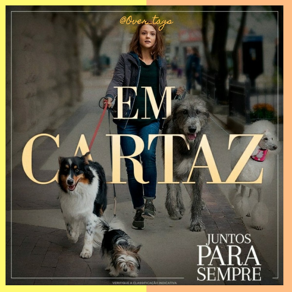 OverTags's tweet image. Algumas amizades vão além da vida!🐶💛  #Juntosparasempre hoje nos cinemas...🎬 #over_tags