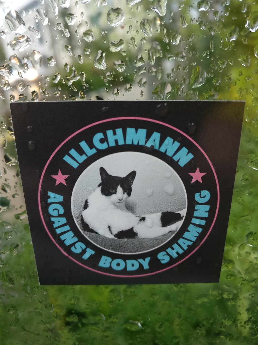 DrAEckert's tweet photo. Someone in Brighton has made stickers of their cat with social justice slogans on and they're wonderful:

"Illchmann against homophobia"

"Illchmann welcomes refugees"

"Illchmann against body shaming" https://t.co/iJoWGVxxKF