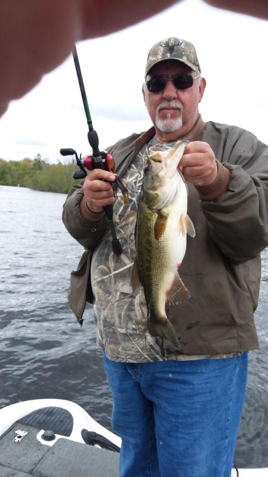 Oglizard tweet media