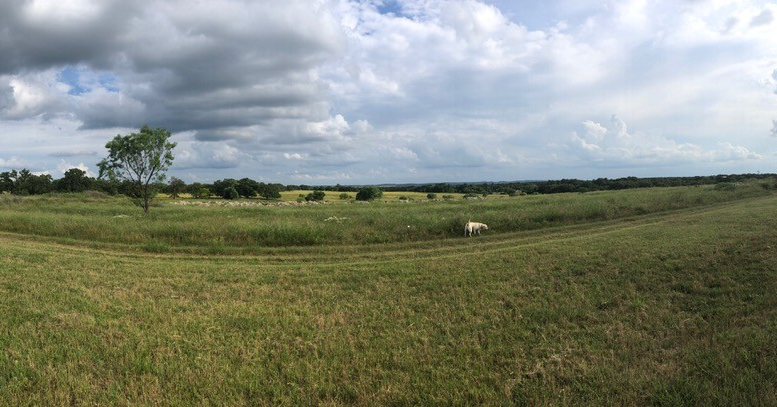 jacksonryanarch's tweet photo. We are so excited to kick off a new project in Fredericksburg, TX. This will be the view of the future paddocks of Longneck Manor giraffe and rhino barn. https://t.co/DWHlFgUkpo