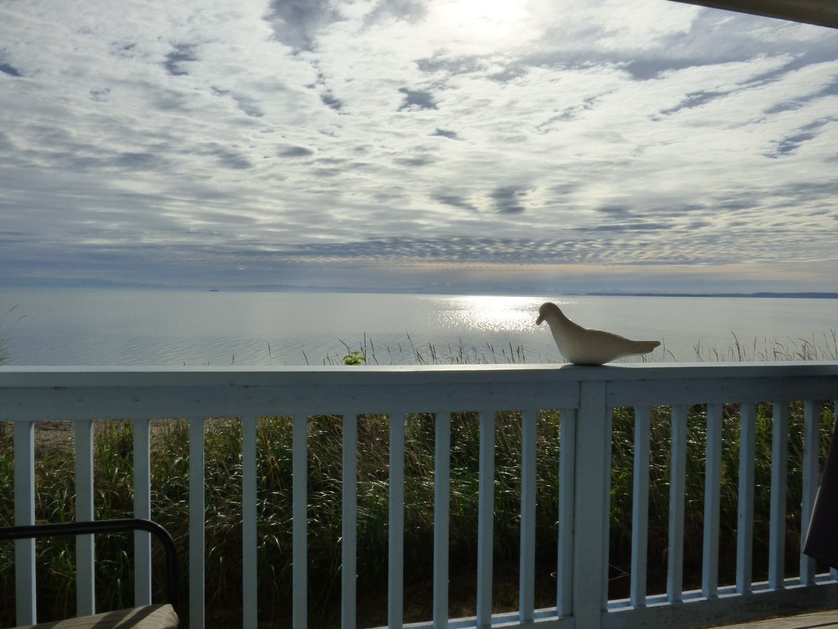 LighthouseManor's tweet photo. Happy Monday from the sunny shores of Sequim https://t.co/dGe0nbXuRH