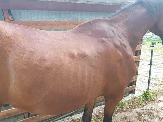 View image on Twitter