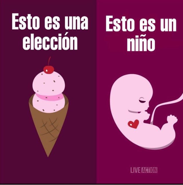 MaElena06's tweet photo. @rodrigoivanc @lopezobrador_ #AmloEngaña pues dijo en #TijuanaFest que si el respeto a la vida #HidalgoDiceSíALaVida #HidalgoSIalaVida #HidalgoSiALaVida #HidalgoSialaVida #NiUnaMenos #AbortarEsMatar #AbortoEsNegocio https://t.co/ZUjPBQlYQ7
