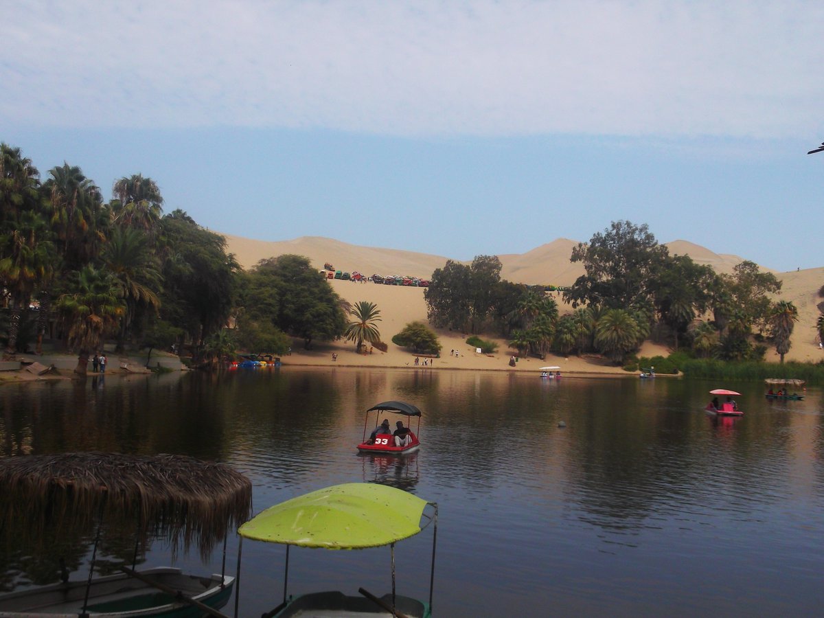 cesartraveler's tweet photo. amazing view of the oasis call huacachina #ica. travelling to the desert peru.
was so great being there.
#travel #natur #ica #blogger https://t.co/ZUKT5zE52m