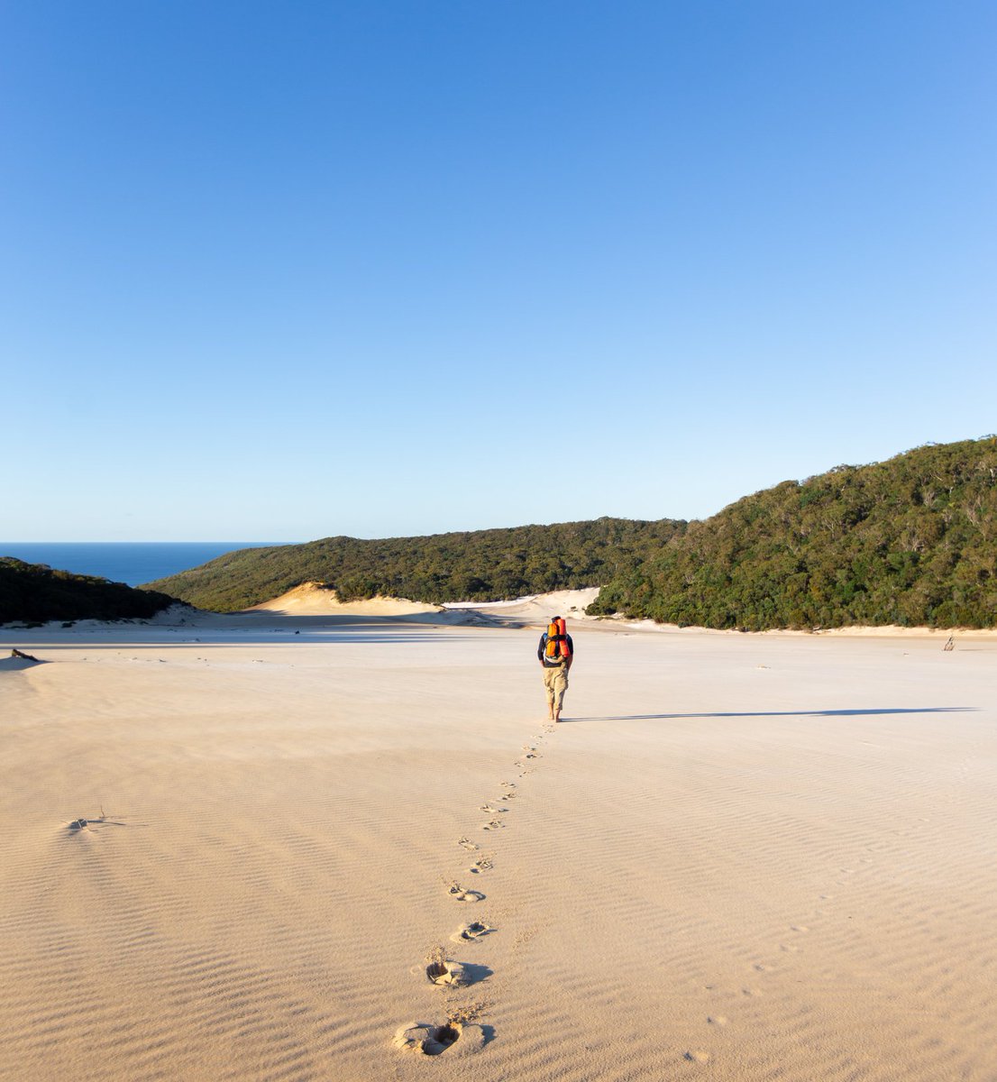 noosa's tweet photo. ATTENTION lovers of endless golden sand and unforgettable ocean-scapes, can you guess where this is? 🤔

Hint: it may just be Noosa's most remote spots... 😍💛 

(#CooloolaSandpatch via IG/rory_sanders93) #Noosa #RelaxationCapital https://t.co/YquQ3SRZW2