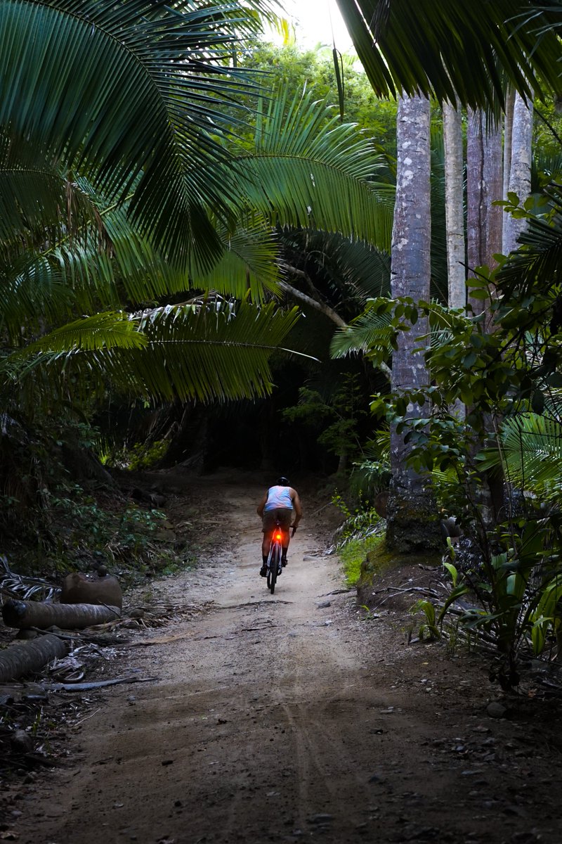 LightandMotion_'s tweet photo. #BikeSeries: Creative Director and Cyclist @jayrivphoto captured these amazing shots back during his trip in Nayarit Mexico of the Vya Pro HL and TL!
Lighting | Vya Pro HL/TL |
#lightandmotionbikelights https://t.co/KBjaJFw8BK