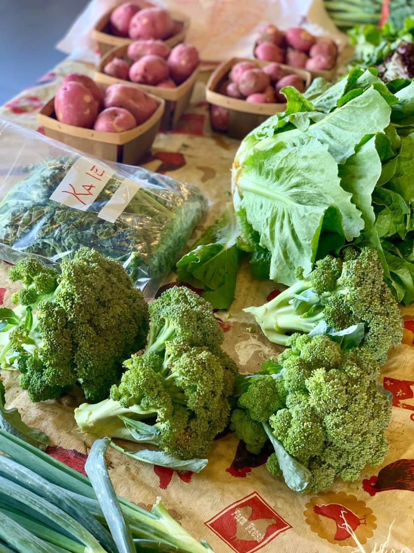 TuscRiverMarket's tweet photo. Don't forget to swing by the farmers market tomorrow afternoon! We're open every Tuesday this summer from 3-6 pm.

#alabamaproduce #farmersmarket #shoplocal https://t.co/RfOawZSuiK