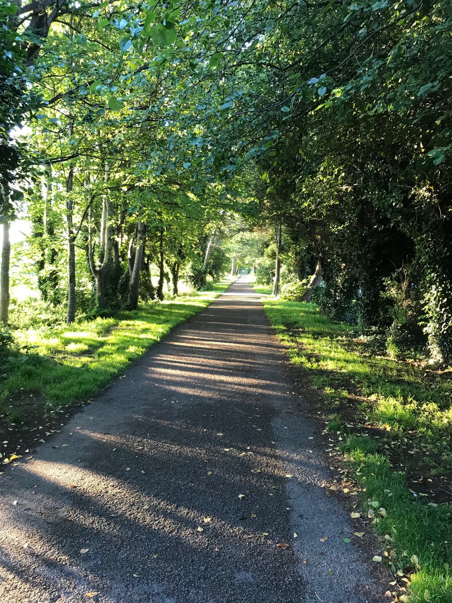 mairin_ni's tweet image. #100láagsiúl 100daysofwalking #365daysofwalking Lá a chéad ‘sa seasca haon. Focal an lae: ag lonrú/shining. Tráthnóna álainn is an ghriain ag lonrú tríd na gcrann. Nach aoibhinn a bheith beo! #goodtobealive