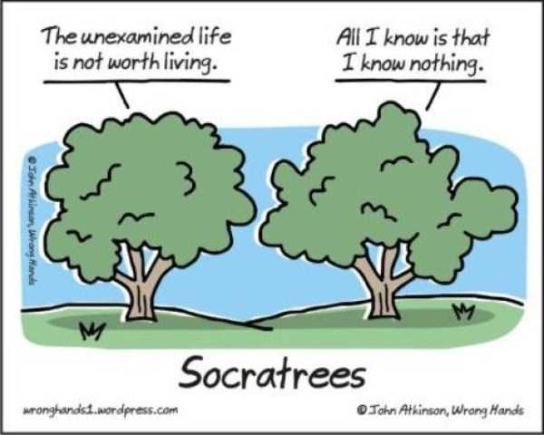 iTreesChicago's tweet photo. 🤣A little #funny to get you through the rest of the workday.
.
#trees #treehumor #treestuff #treephilosophy #socraTREES https://t.co/d8V4NLmvYQ