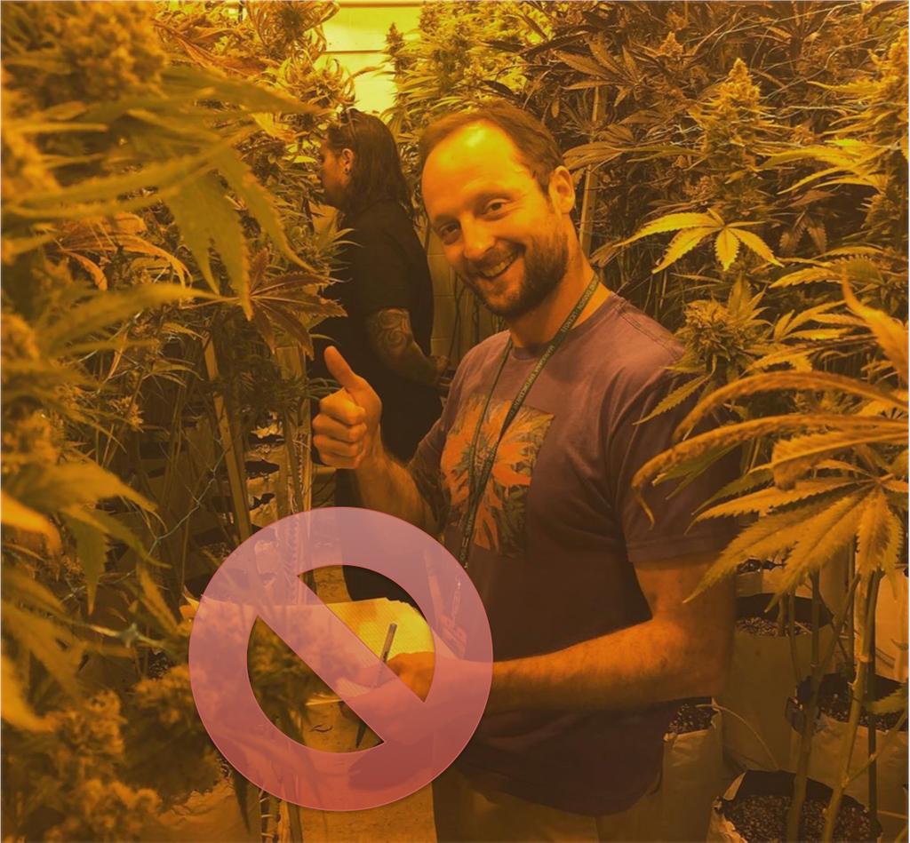 CannabisTrackin's tweet photo. He's 😁 now...but will be 😩 when he has to enter all that data into #METRC.  Ditch the 🖊️ &amp; 📝. Automate with #GeoShepard... https://t.co/gN4m0iEDCB https://t.co/2KjnxizYdd