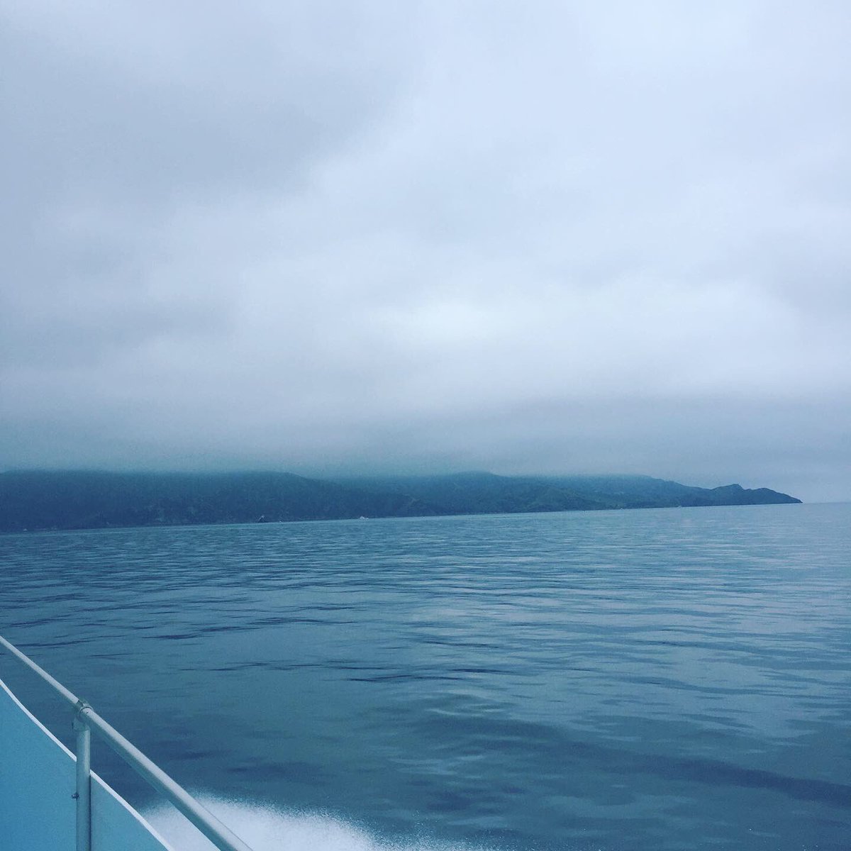BestReconInc's tweet photo. Two Harbors, Catalina Island, CA USA #outdoors #naturephotography #spearfishing #wetsuits #cryptostore #bitcoinstore #survivalgear https://t.co/tBReoCIE88