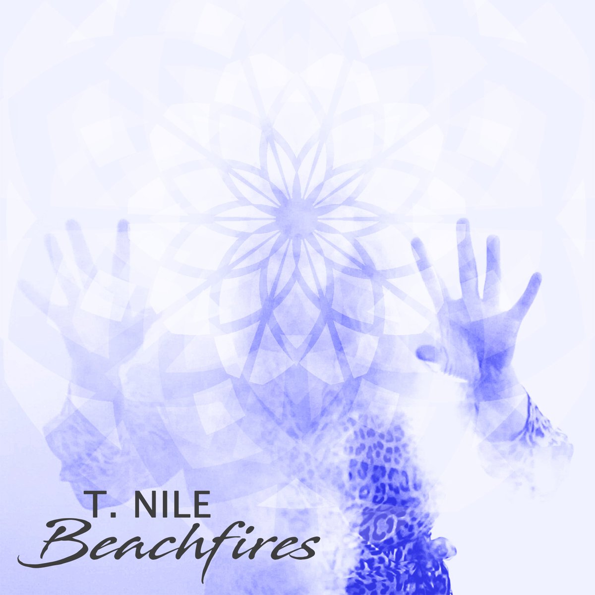 SpinCount's tweet photo. Big thanks to #Vancouver @CiTRradio for supporting @tnile new album #Beachfires! It is charting on their @earshot_online Top 30 chart & has been there for the past 3 weeks! https://t.co/zXLrNWg3TG https://t.co/DoyXcBR7q3