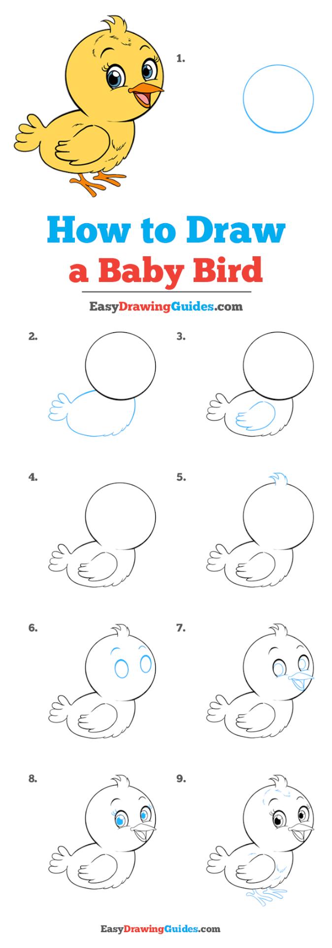 How to Draw a Bird Easy Printable Lesson For Kids