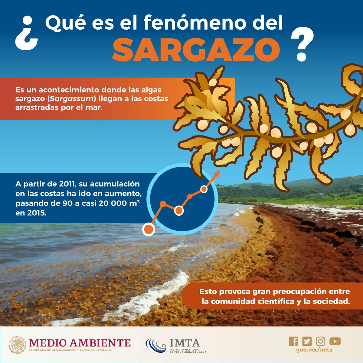 IMTA tweet media