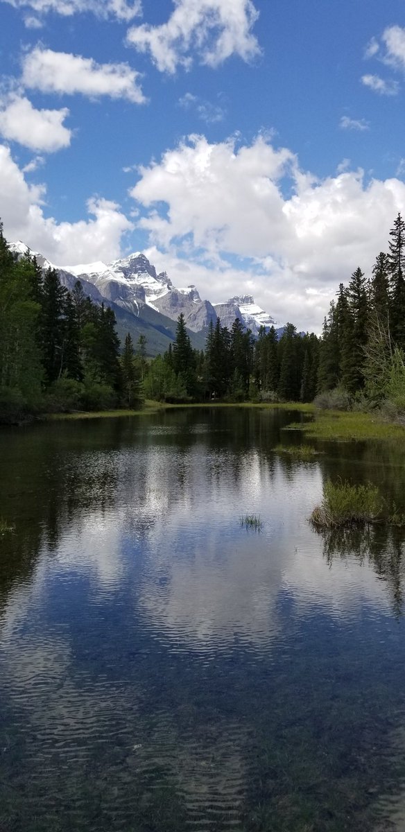 EnchantedMinion's tweet photo. #Canmore views https://t.co/mVvxWRCiBp