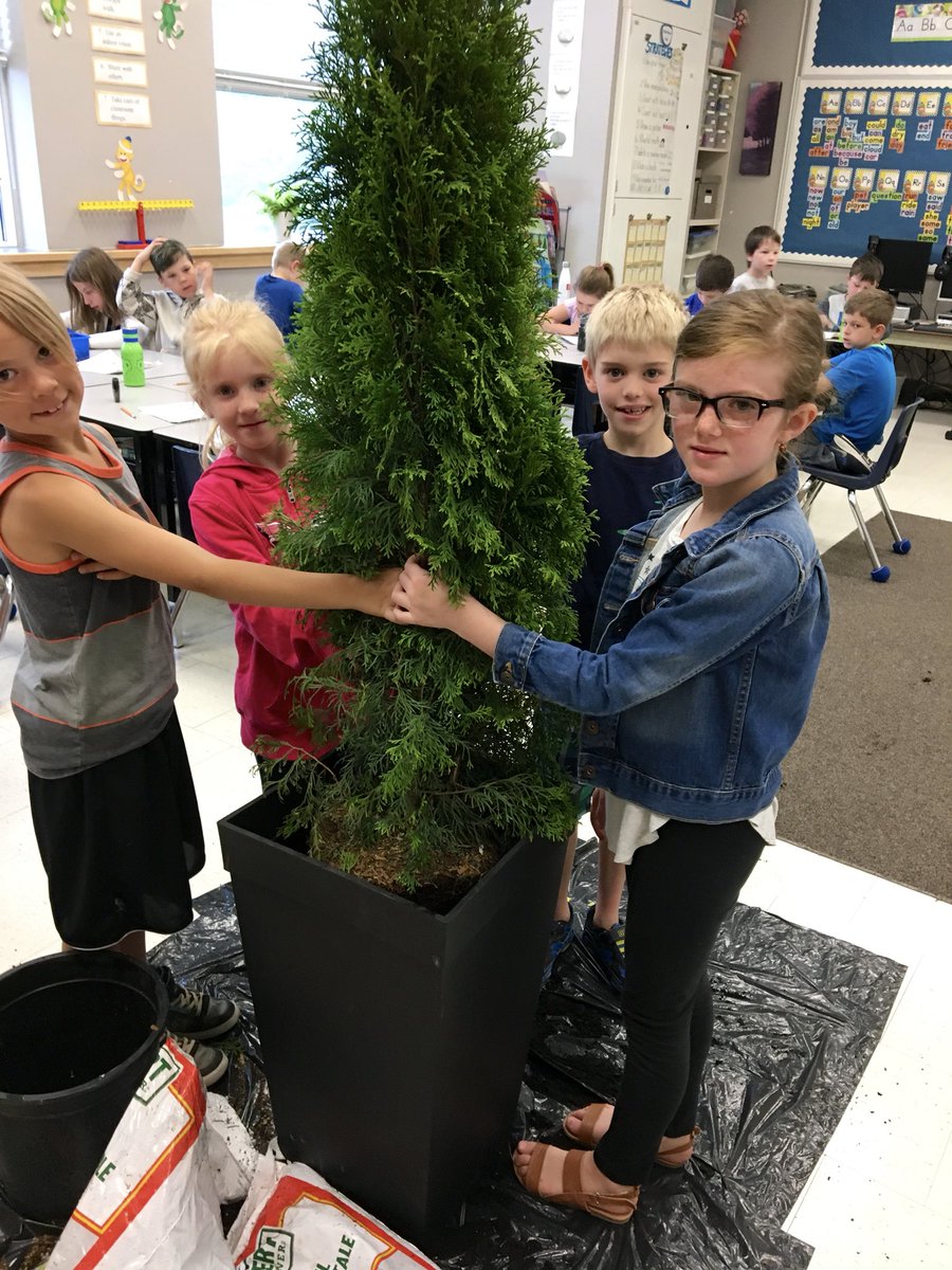 Lockes22's tweet photo. We look forward to celebrating 100 years of #lockespride with you this Friday & Saturday! Thank you to Mr. Mohan’s Gr. 1 class for planting our new trees at the Old School House entrance & our current front doors #LockesCentennial @LockesPVA @TVDSB https://t.co/OxgpwpQT34