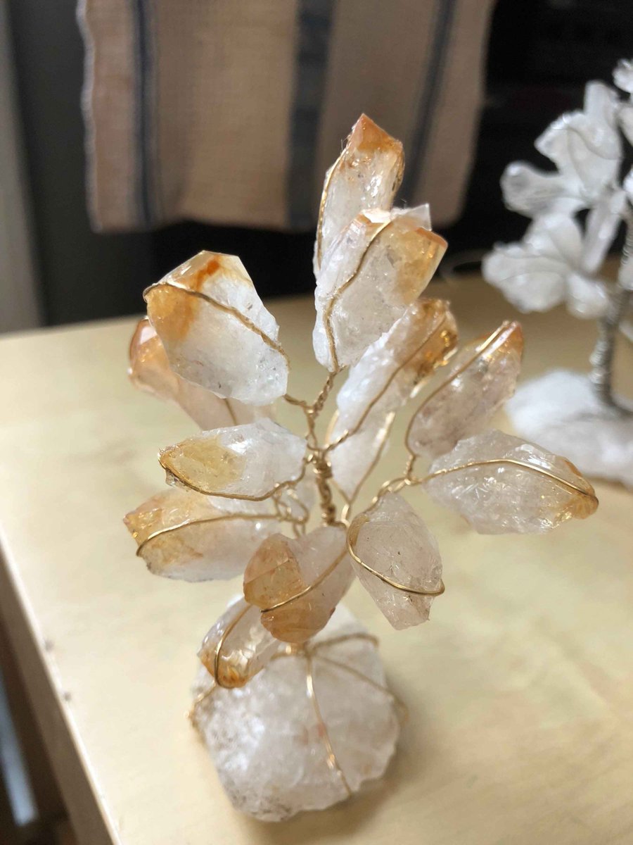 Intrinsinite's tweet photo. @Victori84889374 Victoria ,
Thank you for making these beautiful #Intrinsinite trees as well all the others!!! https://t.co/LdxFJ0EazO