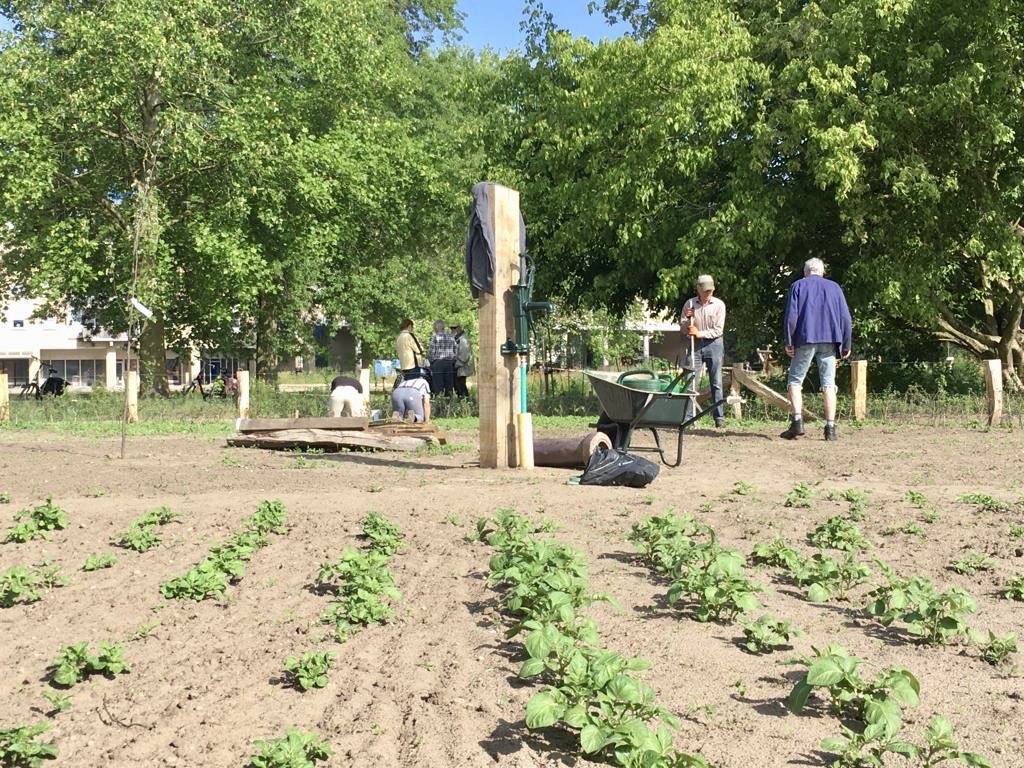 NatuurhusAlmelo's tweet photo. Het is heerlijk vertoeven in het Doepark, vooral nu de wilde bloemen volop bloeien. En de vrijwilligers zijn weer hard aan het werk. #doepark #awtd https://t.co/TNYAufUgOs