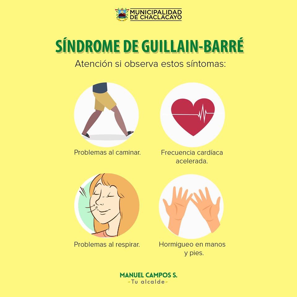ChaclacayoMuni's tweet photo. ⚠️ ATENCIÓN ⚠ 
Nuestro país se encuentra en emergencia sanitaria por brote del síndrome Guillain Barré. Reconoce los principales síntomas de este trastorno poco frecuente que afecta a los nervios que controlan el movimiento de brazos y piernas ⬇ https://t.co/Gb2lcFgC6l