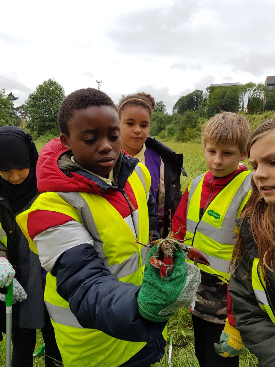 ajbelloni's tweet photo. Clearing litter &amp; invasives species (signal crayfish &amp; himalyan balsam) from the River Colne Watford with Laurance Haines School https://t.co/aSpIeGfZk2  - @lhs_watford https://t.co/UlwdBHd9S5