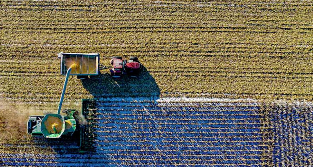 SmallFarms1's tweet photo. #Bendigo has received the nod to host @Farmers2Founder ’ third workshop, linking #primaryproducers to #globalinnovation and #technology experts.
https://t.co/zes92Sa3vv https://t.co/1ZH1qlKita