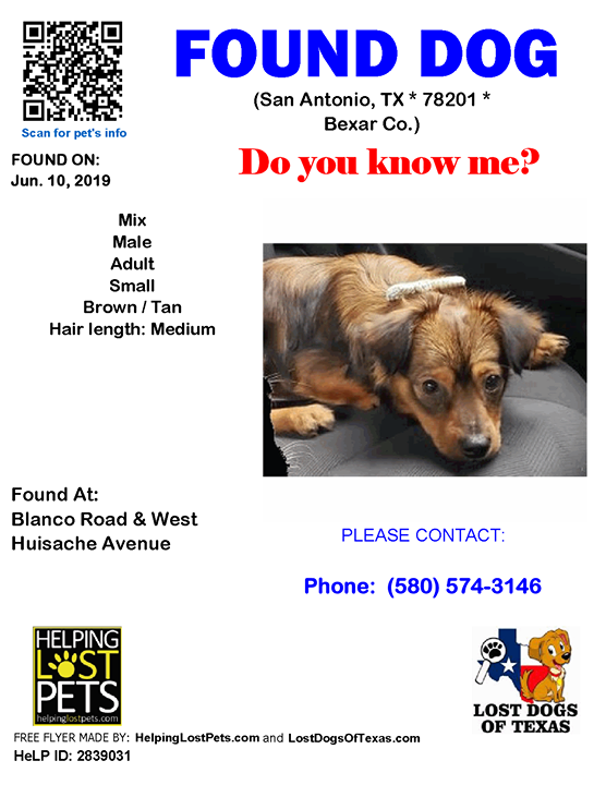 LostDogTX's tweet photo. Facebook link https://t.co/juudGTZErW #Bexar #LDOT FOUND DOG Unknown 06-10-2019 https://t.co/SMWahc9NTD Bexar Co., San Antonio (Blanco Road &amp; West Huisache Avenue ), TX 78201. Unknown/ Male *** Mix *** Brown / Tan/ Adult/ Small/ Hair Length is Medium/Found with ID: 2839034.

C… https://t.co/5Covi8Ryew