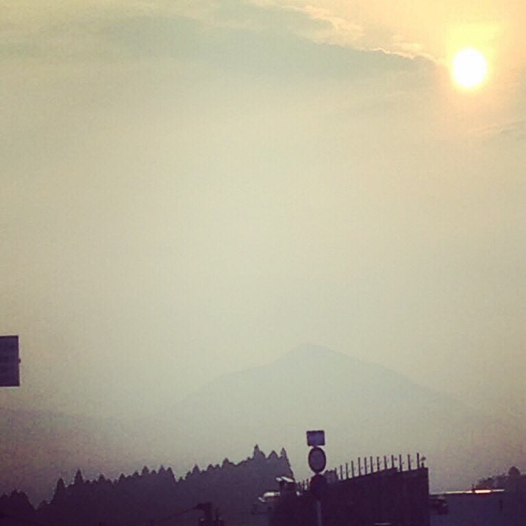 buentei's tweet photo. おはようございます。写真は朝６時の #鹿児島空港 です。 #枕崎 から作り立ての #お弁当 を納めにきました。 #ぶえん亭 のお弁当は出発ロビーでもお求めいただけます。もしかしたらこのお弁当が #鹿児島 での最後の食事になるのかもしれませんね。『かごしまの思い出の味』になれるようがんばります。 https://t.co/AL7ra34Xq4