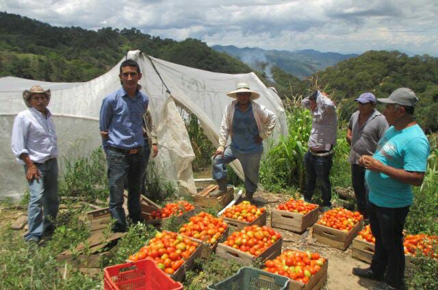 Jamaya2019's tweet photo. Por ellos será nuestra lucha.
A pesar de que el @magelsalvador en el pasado no se les había apoyado esperamos que con el apoyo de @nayibbukele y su ministro de agricultura @Anlikerinfante podamos llevar desarrollo a todos los jóvenes. @yeseniahdrz @silvioaquinog https://t.co/Tznsq9YCOc