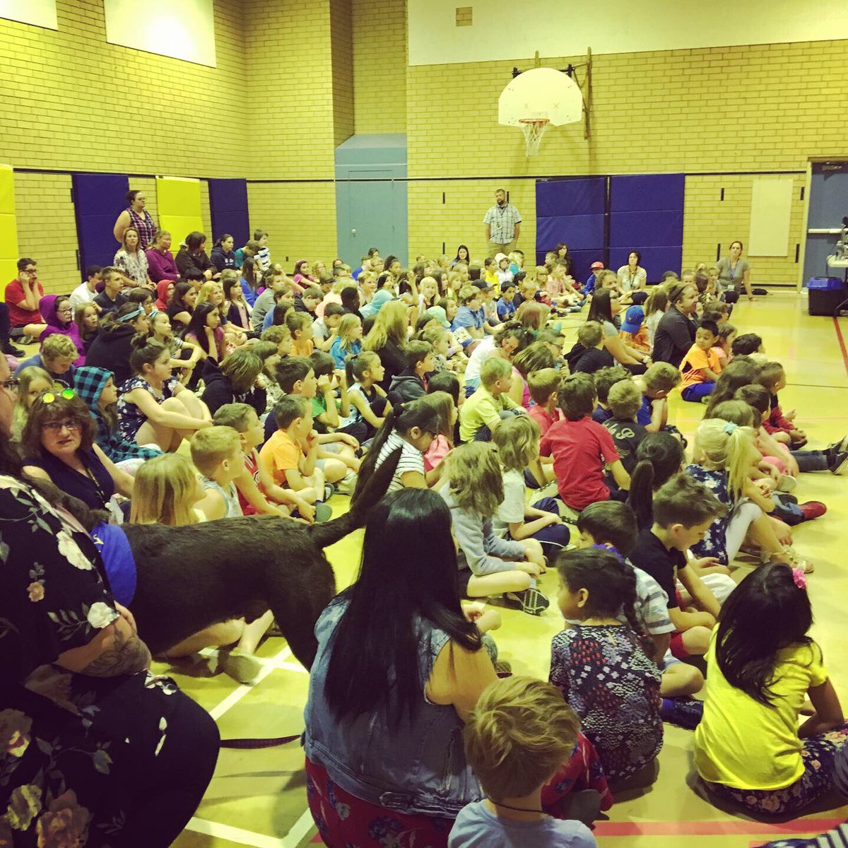 HeraldSchoolMH's tweet photo. Dramatic flair is in full force at Herald with @Evergreen_Th Looking forward to the showstopper on Friday afternoon and all of the #learning in between! #whereallthepiecesfit #whatsthebuzz #medhat #drama @mhpublicschools #mhpsdfamily @AFA1991 https://t.co/AuRnlgT1Gk
