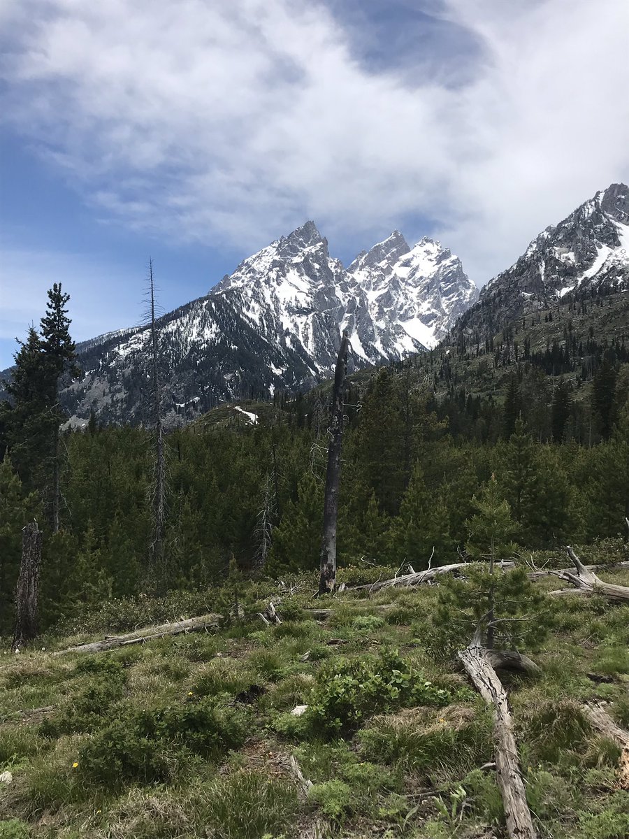 MrsElliottMath's tweet image. The Hawks had a great first day canoeing on String Lake and hiking to Jenny Lake. #tetonsCPS