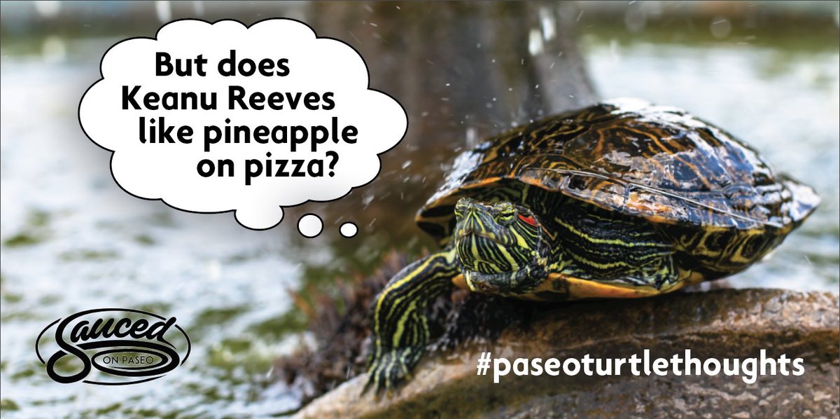 Inquiring turtles want to know. #paseoturtlethoughts #saucedonpaseo #okchappyhour #KeanuReeves
