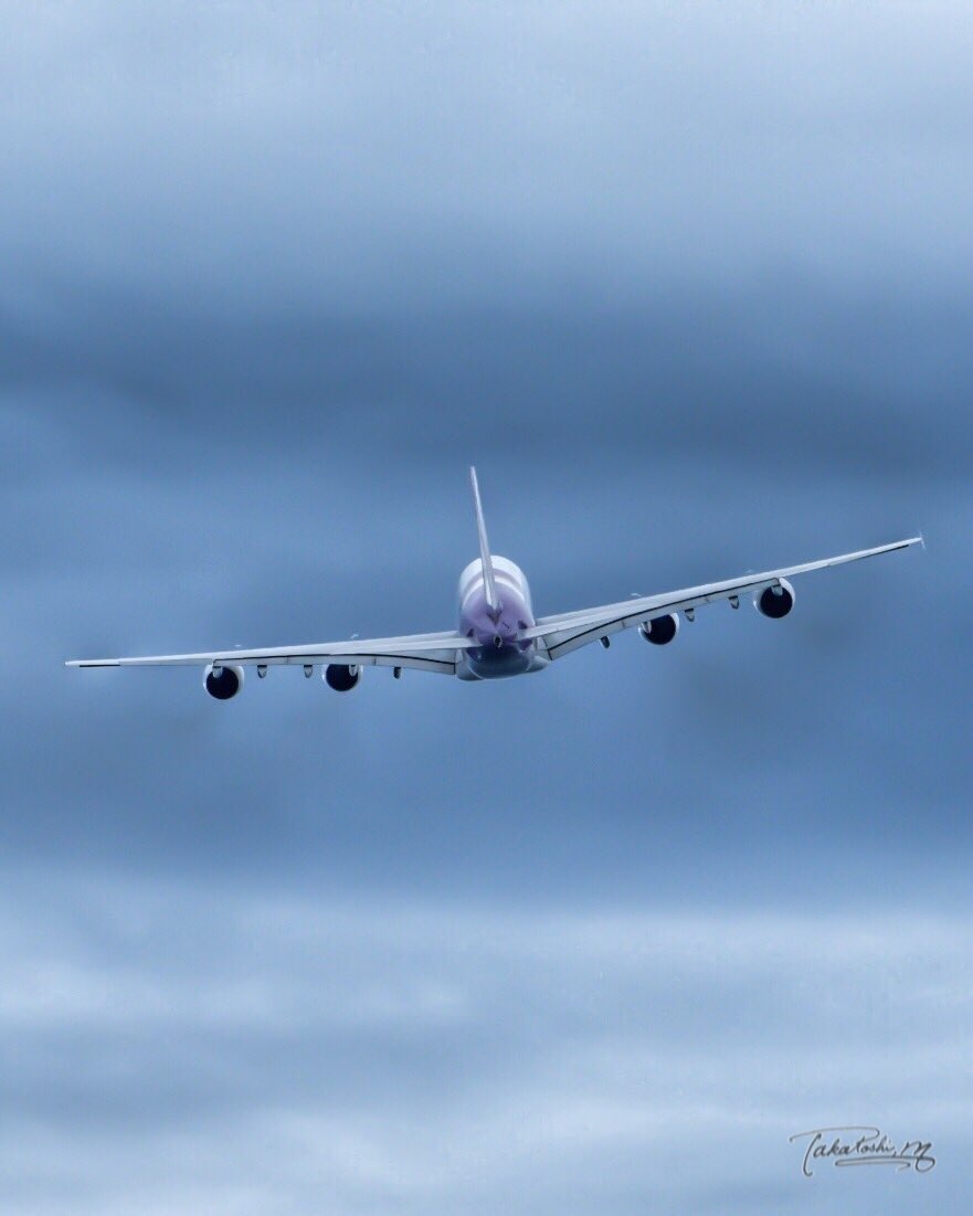 One_21_Love's tweet photo. おはようこざいます🌅 

タイケツ

Kansai International Airport  KIX/RJBB
#thaiairways #flytg #kix #rjbb https://t.co/kPYc04930l