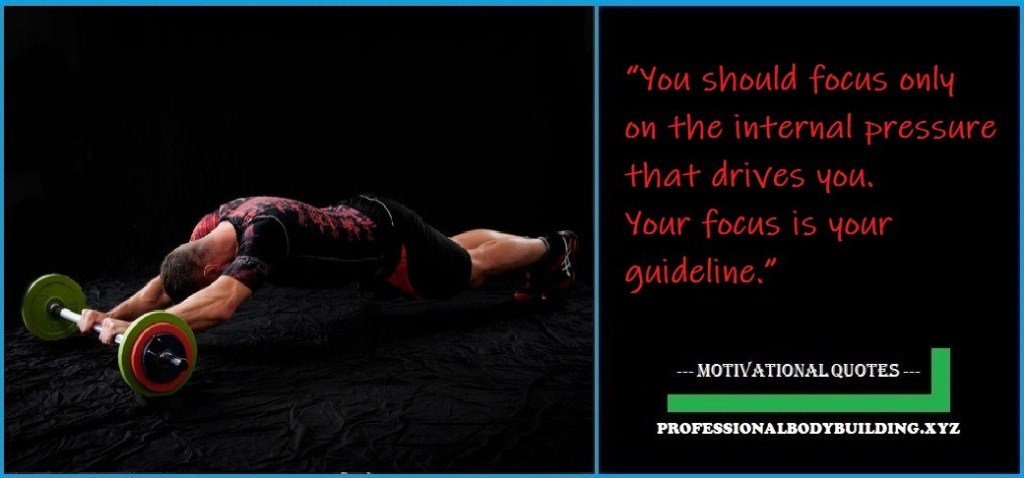 Professionalbodybuilding Quote – You should focus only on the internal pressure that… professionalbodybuilding.xyz/2019/06/profes…