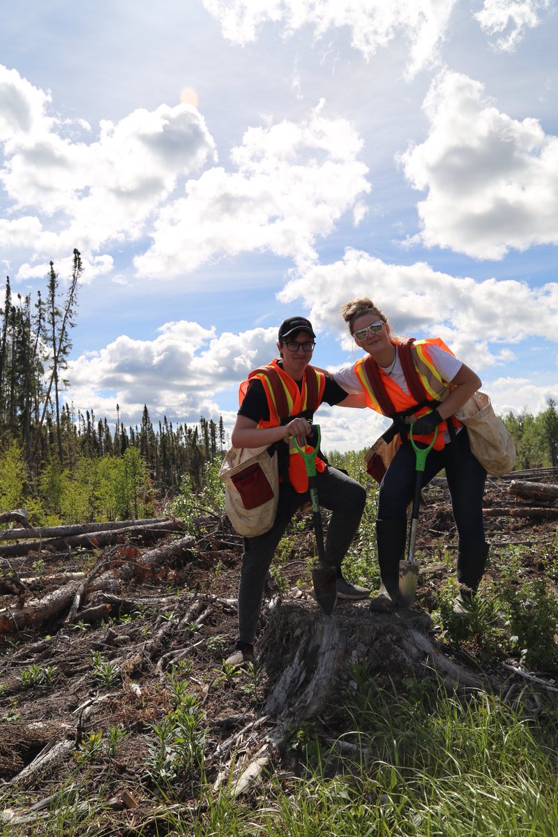 Work_Wild's tweet photo. Last week, students from Whitecourt had a great opportunity to participate in a Tree Planting Job Shadow.

Students got to tour a tree planting camp, learn about the lifestyle of a tree planter, and even plant trees themselves! https://t.co/mB9yZ2Llbk