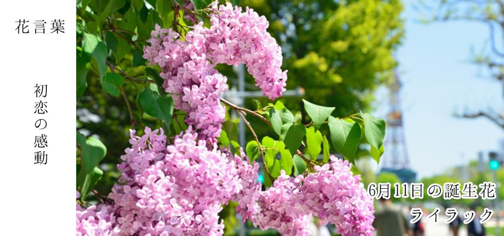 ট ইট র 花キューピット I879 Com 公式 6月11日の誕生花 ライラック お誕生日の方 おめでとうございます 花言葉 は 初恋の感動 甘い香りが魅力ですが 一番よく香るのは七分から八分先の頃です あなたはこんな人 自立をしていて束縛を嫌う ট ইট র 花キューピット I879 Com 公式 6月11日の誕生花 ライラック お誕生日の方 おめでとうございます 花言葉 は 初恋の感動 甘い香りが魅力ですが 一番よく香るのは七分から八分先の頃です あなたはこんな人 自立をしていて束縛を嫌う